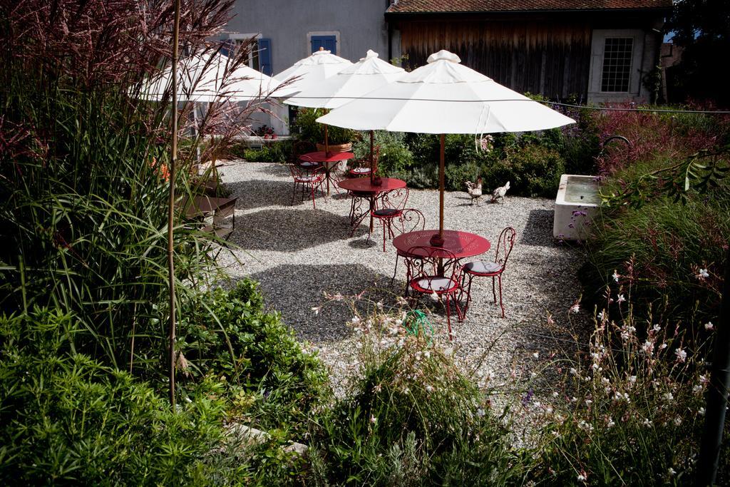 Le Coq Chantant Studios D'Hotes & Boutique Hotel St-Livres Saint-Livres Exterior photo